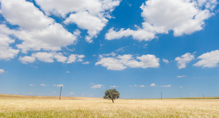 Adobe Creative Cloud für Unternehmen – VIP Enterprise