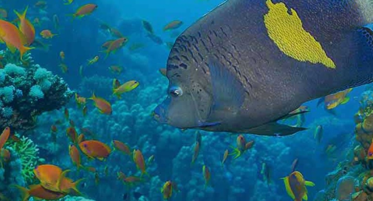 Neuigkeiten von den  «Lobster Innovation Days»