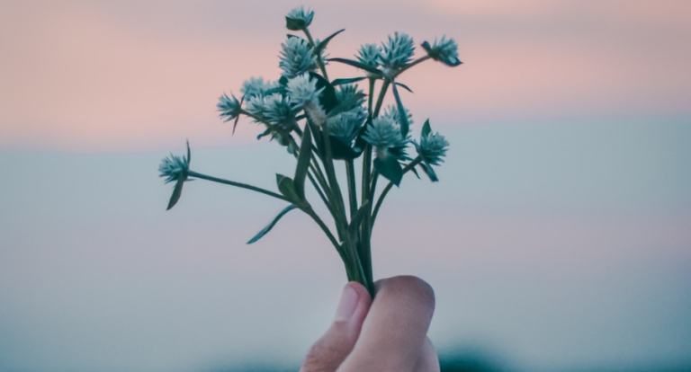 SixOMC 11 – Das gibt’s Neues