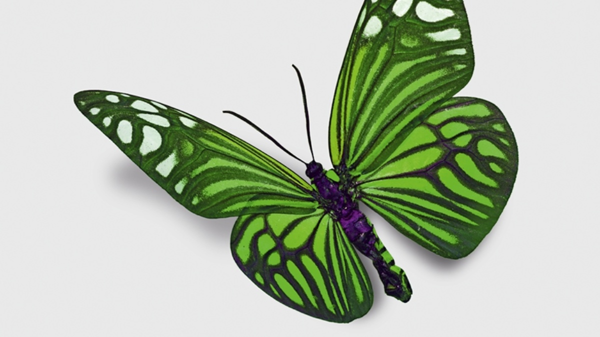 A&F T.I.M.E. – Ausgabe 2