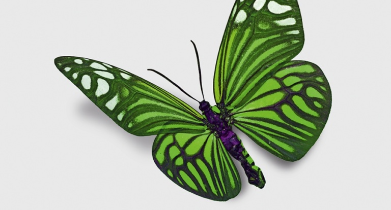 A&F T.I.M.E. – Ausgabe 2