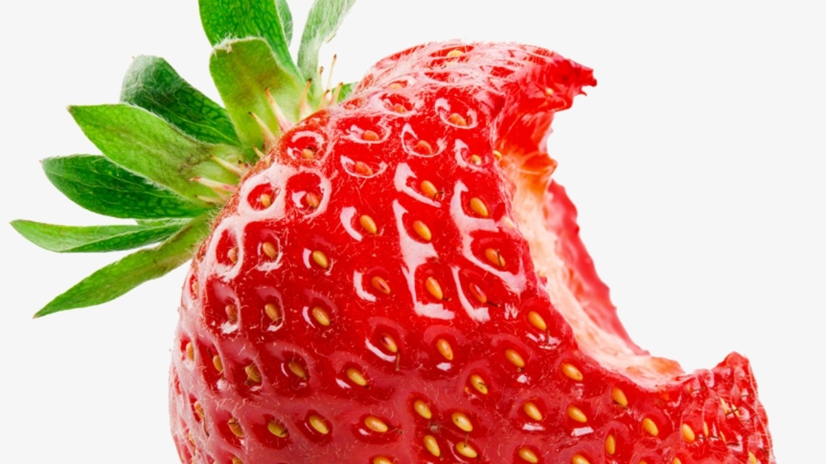 A&F T.I.M.E. – Ausgabe 4