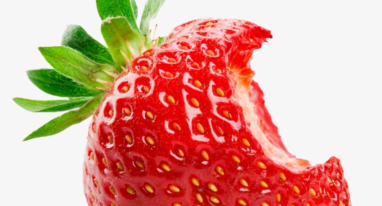 A&F T.I.M.E. – Ausgabe 4